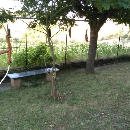 Barbagianni * Senigallia